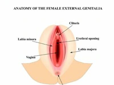 จุดคลิตอริส ผู้หญิงอยู่ตรงไหน? 6 วิธีเล่นให้เธอเปียกแฉะ + เสียวจนขาสั่นใน 5 นาที!